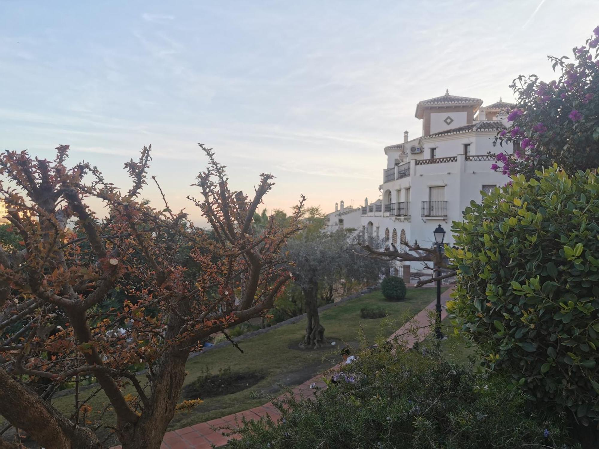 Apartamento en urbanización el Mirador de Frigiliana en el centro del pueblo con las mejores vistas Exterior foto